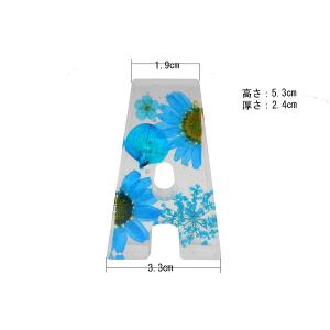 イニシャルオブジェ N〜Z 中型 (H)6cm×(D)2cm ハーバリウム風 花入り