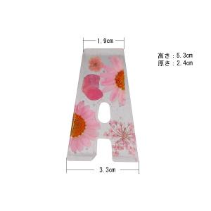 最大P17倍 7/20限定】イニシャルオブジェ A〜M 中型 (H)6cm×(D)2cm