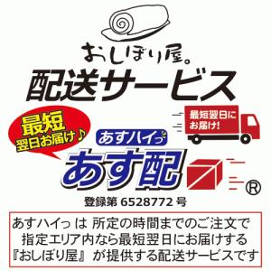 エプロン 業務用 黒 白 不織布エプロン F型...の詳細画像3