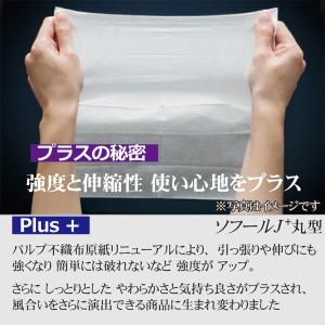 お試し 100本セット 大判 紙おしぼり ソフ...の詳細画像2