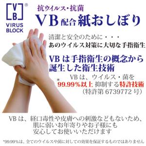 お試し100本セット VB SILKYシルキー...の詳細画像4