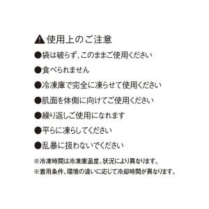 AIR SENSOR 保冷剤300g 単品 冷...の詳細画像1