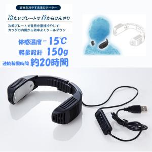 住化農業資材 保持具 ネオドリップ M用保持具 WB6912 100個セット
