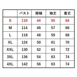 BURTLE エアークラフト AC2041 長...の詳細画像2