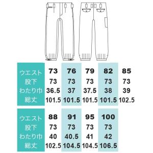 只今参上 ニッカズボン ポリエステル素材 73...の詳細画像1