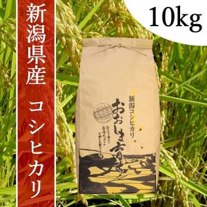 【新米】令和５年度産　おおしま育ち　コシヒカリ　玄米　１０kg