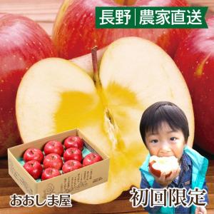 ＜販売終了＞【初回限定】長野県産 蜜入りサンふじりんご 2kg 大小さまざま（5玉-8玉前後） ＜12月中旬より順次出荷＞ 1回限り 送料無料 大嶌屋（おおしまや）