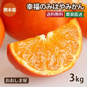 冬ギフト 幸福の みはや ミカン 3kg 送料無料 ＜11月下旬出荷予定＞ 特選  熊本産 希少 新品種 甘い 蜜柑 農家直送｜oshimaya-1991