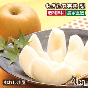 完熟 梨 4kg（5〜14玉）＜8月中旬より順次出荷＞ 送料無料 幸水 豊水 愛甘水 秋麗 新高 品種 産地直送 プレゼント フルーツ 果物 大嶌屋（おおしまや）｜oshimaya-1991