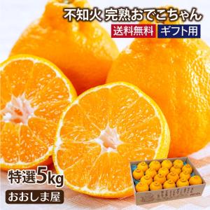 特選 不知火 完熟 おでこちゃん <2月上旬より...の商品画像