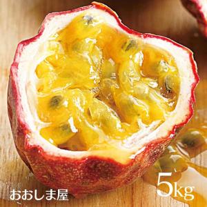 パッションフルーツ 5kg 65玉〜75玉 熊本   農家直送