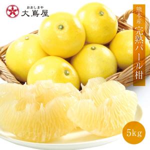 アロニア（冷凍果実）3kg 北海道産【9月上旬出荷開始】 : 旬をお