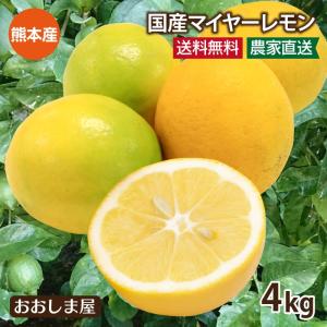 マイヤーレモン 国産 4kg 送料無料 ＜9月下旬頃より出荷開始＞ 減農薬 ノーワックス 防カビ剤不使用 産地直送