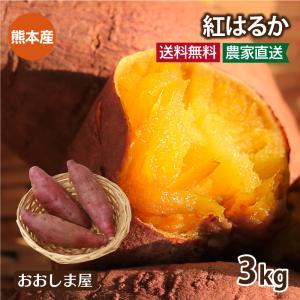 さつまいも 紅はるか 3kg 送料無料 熊本産 生芋 さつま芋 唐芋 からいも べにはるか ＜12月上旬より出荷＞ 大嶌屋（おおしまや）｜oshimaya-1991
