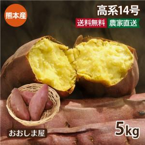 さつまいも 高系 5kg 送料無料 熊本産 生芋 さつま芋 唐芋 からいも ＜12月下旬より出荷予定＞ 大嶌屋（おおしまや）｜oshimaya-1991