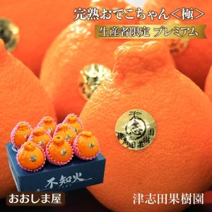 不知火 完熟 おでこちゃん ＜極み＞ 約2.5kg 送料無料 ＜3月上旬より出荷予定＞ 津志田果樹園 玉揃い 粒揃い 熊本産 農家直送