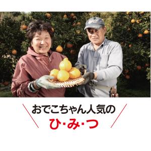みかん 不知火 完熟 おでこちゃん 2kg 送...の詳細画像4