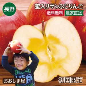 【初回限定】＜12月下旬より出荷＞長野 蜜入りサンふじりんご 送料無料 2kg 大小混合（5玉から9玉前後）小傷あり 果物 大嶌屋（おおしまや）