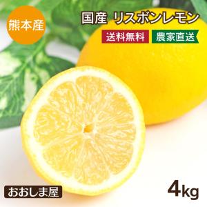 国産 レモン 熊本産 4kg 送料無料 リスボン ＜一週間から10日前後でお届け＞ れもん ノーワックス 防カビ剤不使用 産地直送 農家直送｜oshimaya-1991