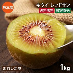 国産 キウイ レッドサン 1kg  ＜11月上旬より順次出荷＞