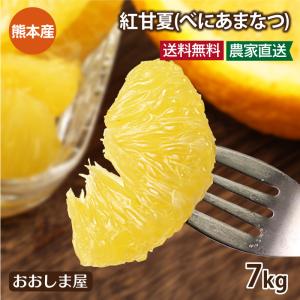 甘夏 あまなつ みかん 7kg 農家直送 ＜2月上旬より順次出荷＞ 送料無料 熊本県産 果物 フルーツ 大嶌屋（おおしまや）｜oshimaya-1991