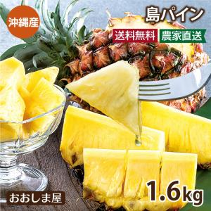 パイナップル 島パイン 1.6kg 送料無料 ギフト＜4月下旬より順次出荷＞ 産地直送 農家直送 国産 果物 冷蔵便 フルーツ 食品 大嶌屋（おおしまや）