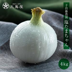 玉ねぎ 4kg 送料無料 塩たまちゃん たまねぎ 送料無料 ＜4月上旬より出荷予定＞ 新玉ねぎ 新玉 玉葱 タマネギ 農家直送 大嶌屋（おおしまや）