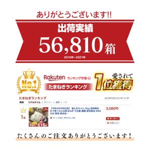 玉ねぎ 4kg 送料無料 塩たまちゃん たまね...の詳細画像3
