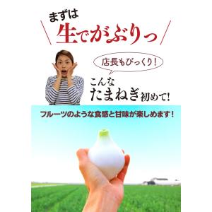 玉ねぎ 4kg 送料無料 塩たまちゃん たまね...の詳細画像4