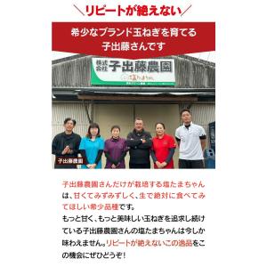 玉ねぎ 4kg 送料無料 塩たまちゃん たまね...の詳細画像5