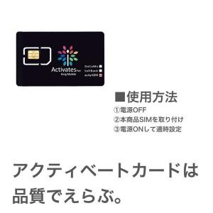iPhone アクティベートカード 全iOS対...の詳細画像2