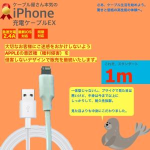 iPhone充電ケーブル iPhone ケーブル 充電ケーブル 断線防止 SE iPhone6 USBケーブル ポイント消化