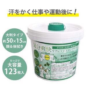 【詰め替え用6個セット】 リフレッシュロングタオル 大容量123枚×6個セット SB11-6 大判 体拭きシート 汗拭きシート 冷たい メントール 冷感 冷却 現場 外仕事