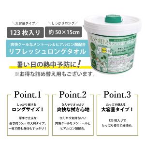 【詰め替え用】リフレッシュロングタオル 123...の詳細画像1