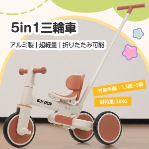 imo 三輪車 ブラウン　♯02 エムアンドエム M&M＜mimi＞ iimo TRICYCLE#02 コンフォート