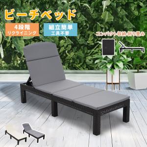 テラル 50PVT-5.4S 排水水中ポンプ 樹脂製 小型セミボルテックス テラル 50PVT-5.4S 排水水中ポンプ 樹脂製 小型セミボルテックス