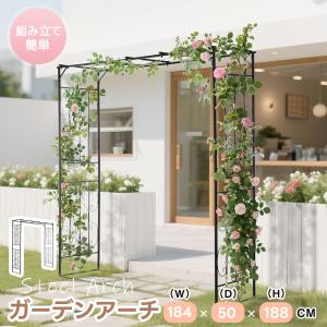 クリアランス 鉄製 ハーフ アーチ ネロ 1個 幅92.5 奥行60 高さ211