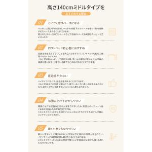 【全店5%OFFクーポン利用!本日限定】】ロフ...の詳細画像2