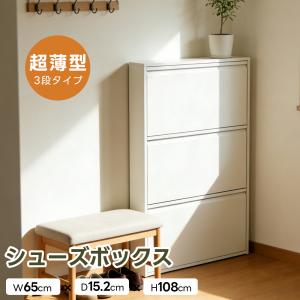 シューズボックス スリム 3段 ホワイト アイアン DOTTUS ドッタス