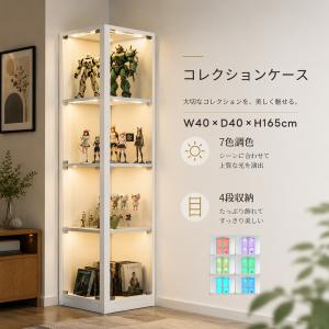 50cm幅 コレクションボード LEDライト付き 卓上コンパクト ショー