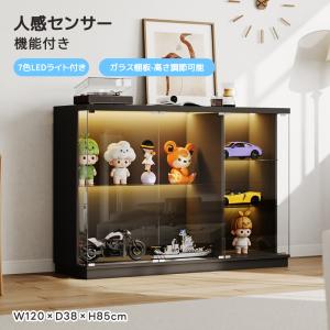 50cm幅 コレクションボード LEDライト付き 卓上コンパクト ショー