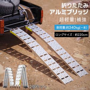 アストロプロダクツ（ASTROPRODUCTS） アルミラダー フラット | 耐荷重