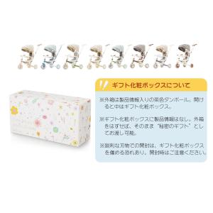【ギフト箱付き】子供用三輪車 完全に折りたたみ...の詳細画像2