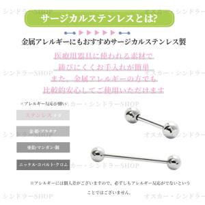 (24時間以内発送)ボディピアス 18G 16...の詳細画像1