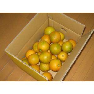 橙（だいだい）ポン酢にいかが!!約4kg入（送料込）