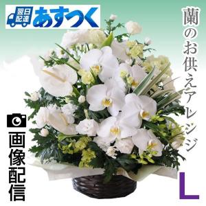 お供え 花 贈る  供花 お供え お悔やみ 仏花 供花 お供え お悔やみ 供花 仏花 命日 枕花 四十九日 一周忌 法事 翌日配達 供養 仏花 蘭のお供えアレンジ L｜お供え花工房 お悔やみ花ギフト