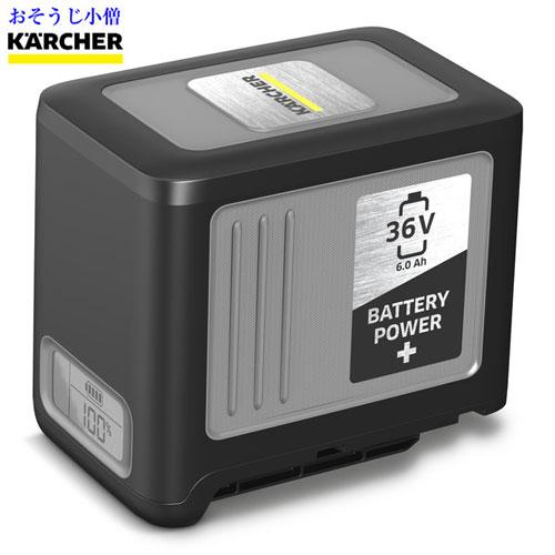 ケルヒャー バッテリーパワープラス 36/60【2.042-022.0】