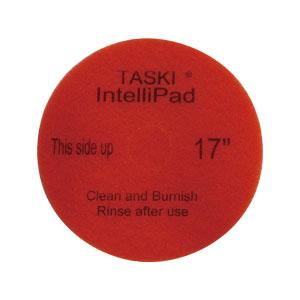 TASKI　インテリパッド 13インチ 【２枚入】