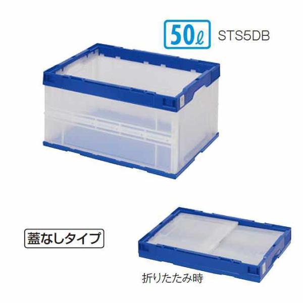 コンテナボックス 折りたたみコンテナ ふたなし 50L テラモト DS-262-105-0 収納 整...