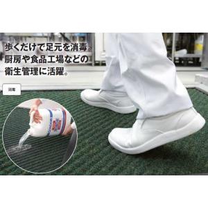 玄関マット 屋内 業務用 消毒マット ベース 600×900mm 山崎産業 F-38-6B 店舗 室...